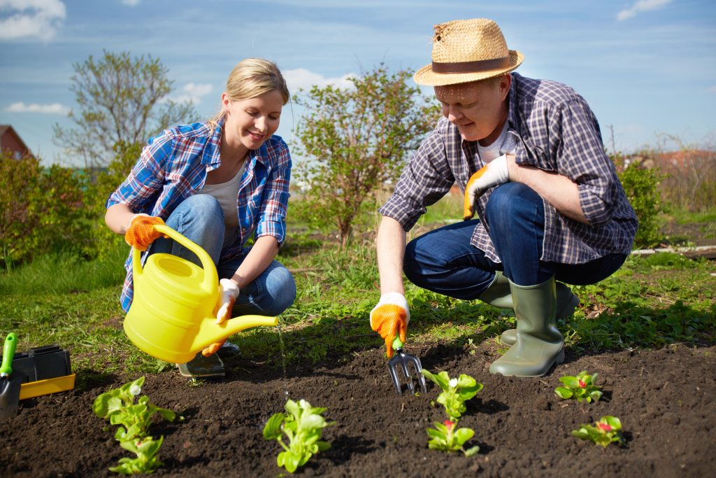 Gardening 