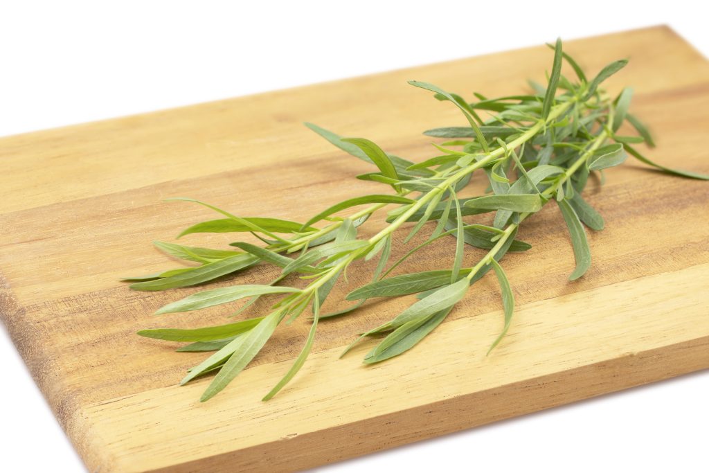 French Tarragon