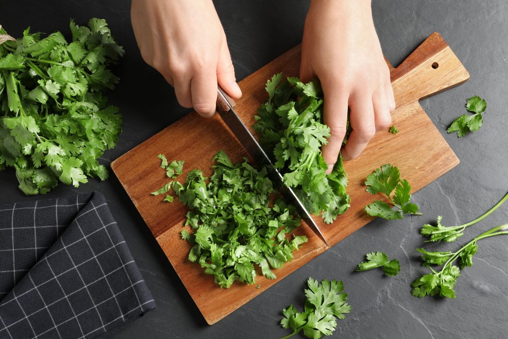 Cilantro