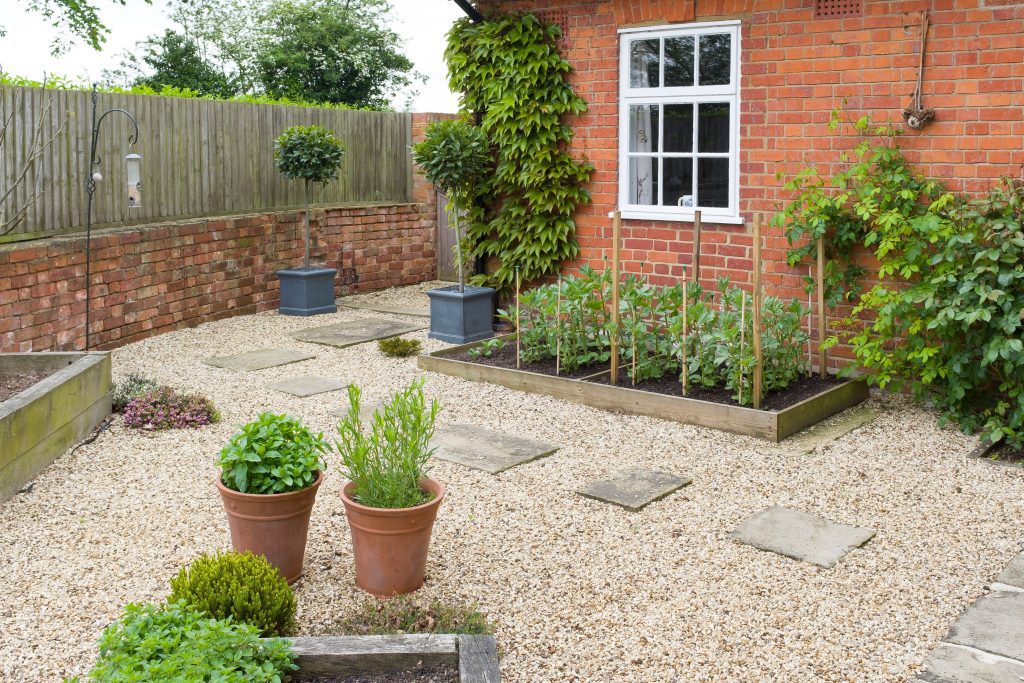 Back Garden