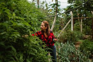 Hardy Garden Plants