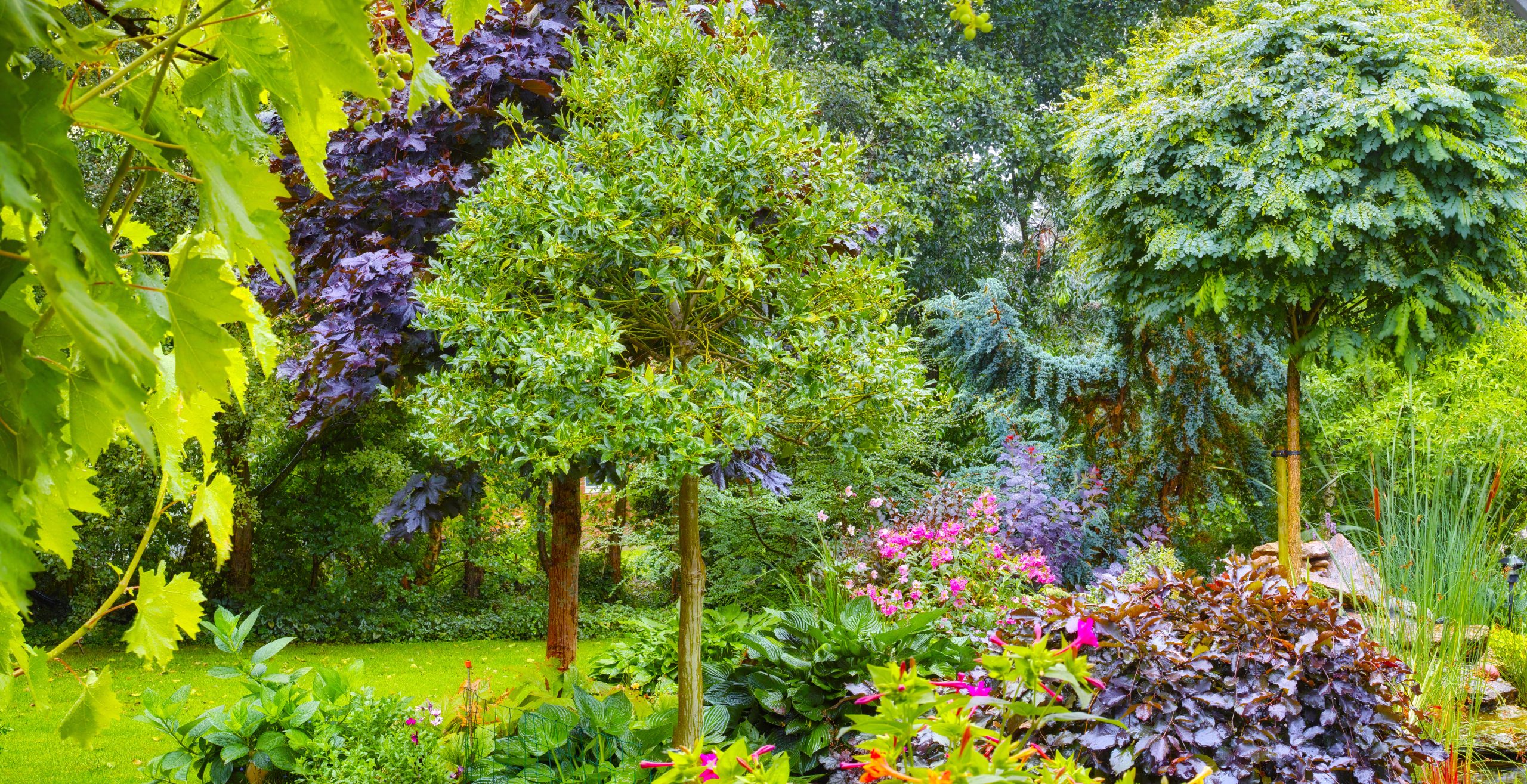 Flourishing in the Shadows: 15 Shade-Loving Plants That Flourish Under ...