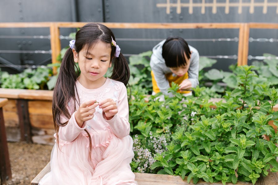 Garden Space