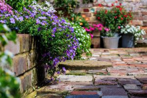 Cottage garden plans for your backyard with brick path and summer flowers