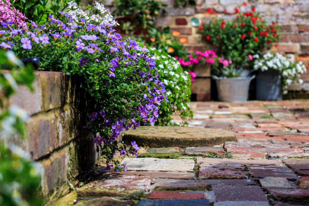 Cottage garden plans for your backyard with brick path and summer flowers